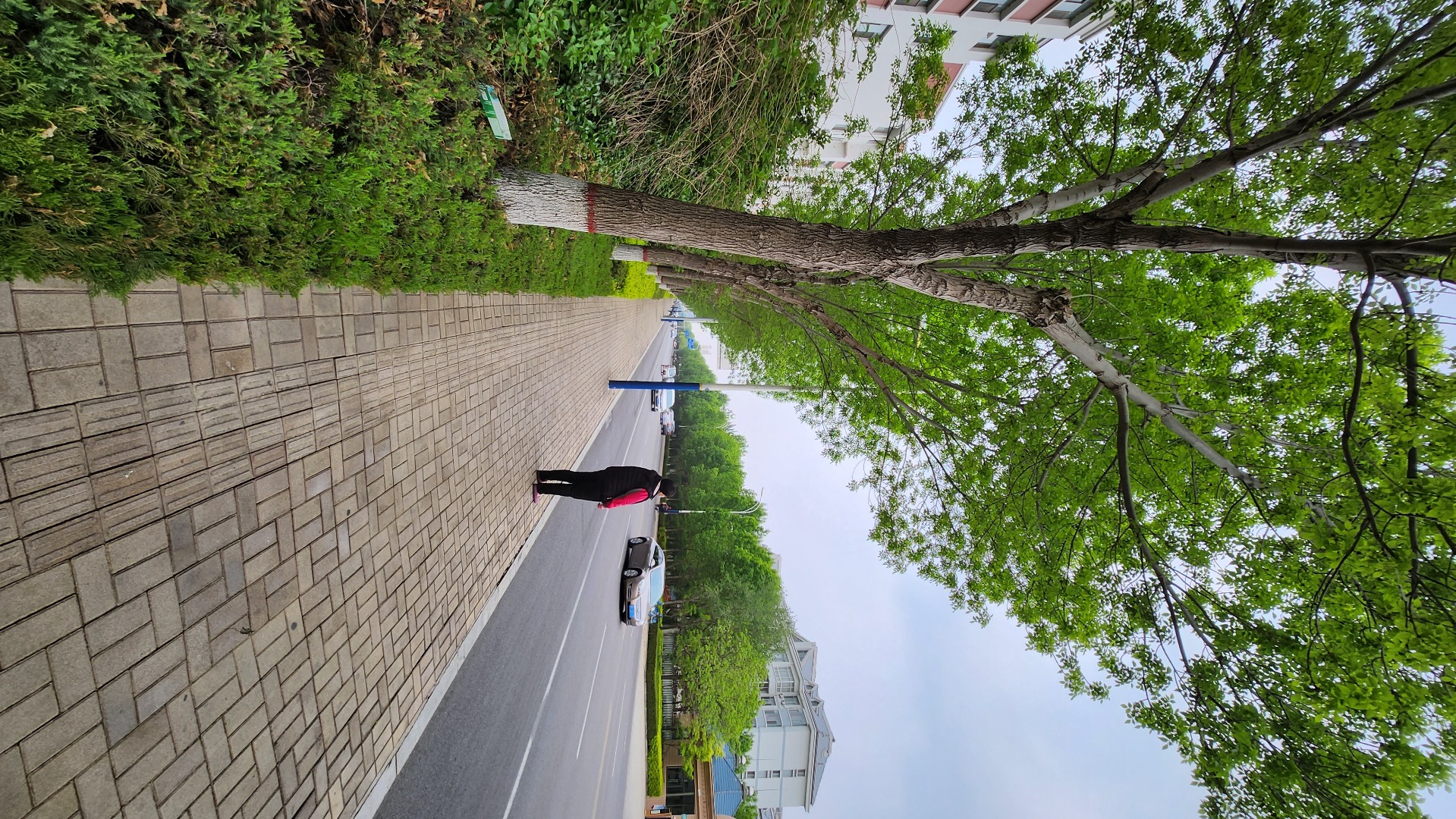 今日子好