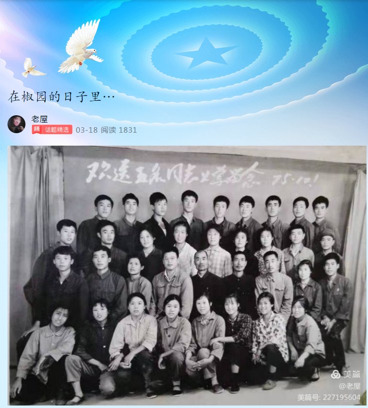 继续发帖测试文章显示情况
