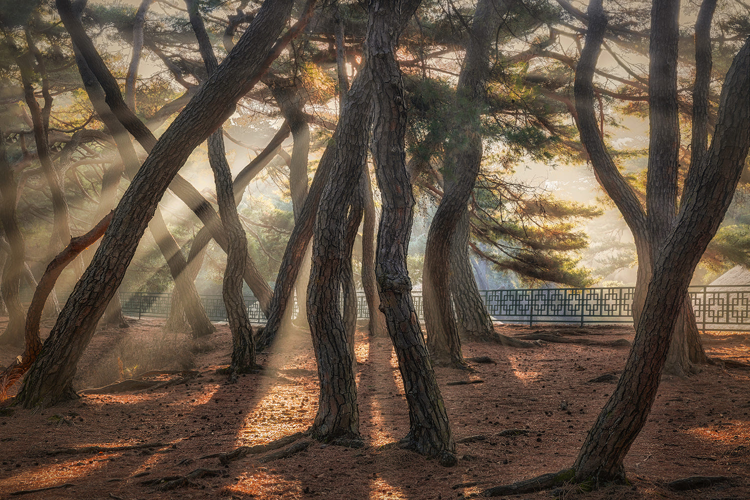 stock-photo-1019015432.jpg