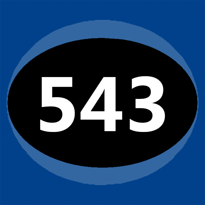 hsjlogo_hei.jpg