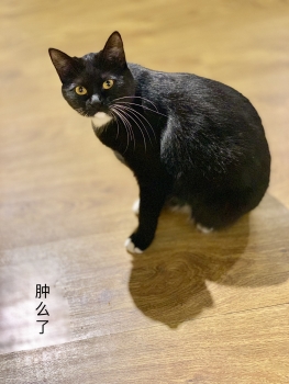 仍然是创始人发帖看如何增加分数的其他不增吧？