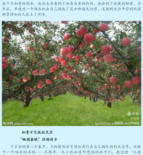 哈哈我添加了主题分类看看效果如何发帖