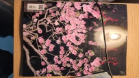 今天收拾了一天也没有找到个头绪。