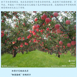 再试下分类信息显示的情况如何